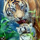 Anna Urso - @annaurso2412 - Twitter