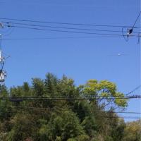 kensakhp (@kensakhp) Twitter profile photo