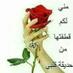 ابو انيس (@yahyahashim3) Twitter profile photo