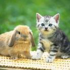 jweb20141215's profile picture. 嵐、関ジャニ∞、キスマイ、SMAPなどジャニーズに関する最新の情報から過去の話題の情報まで幅広くご紹介しています。よろしくお願いします。