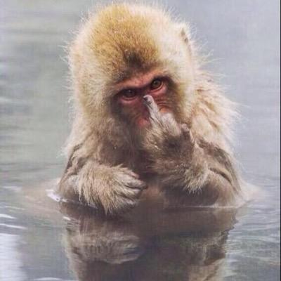 CanonJeanson's profile picture. compte supp