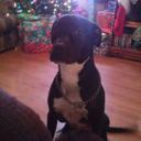 John Bowden - @JohnBowden17 - Twitter