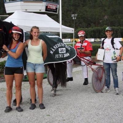 steine106's profile picture. 