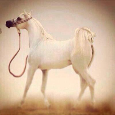 zoozk67's profile picture. 