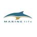 MARINElife (@marinelife_uk) Twitter profile photo MARINElife (@marinelife_uk) Twitter profile photo