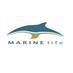 MARINElife (@MARINElife_UK) Twitter profile photo