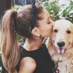shinebrightarig's profile picture. Hi, don't follow me, It's a free follow so please follow @ArianatorAriGra because i gave u a free follow, she follows back!
