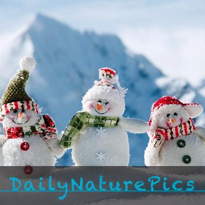 Tweeting daily some pictures from the nature. Share our pictures with your friends & family by pressing retweet :) Thanks for following! #DailyNaturePics