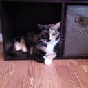 Hope Mcdaniel - @d1171788cbac434 - Twitter