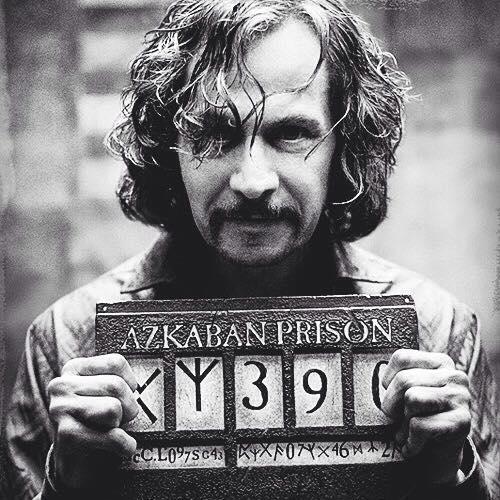 Canuto, miembro de los Merodeadores, Gryffindor 71-78