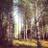gwylltcottages's profile image