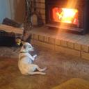 Lucas - @LucasSamora4 - Twitter