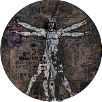 Urban Ecology (@urbanecolab) 's Twitter Profile Photo