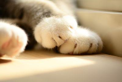 Areesa_Sham's profile picture. Do What You Love,Love What You Do... I'm A #Tyker!