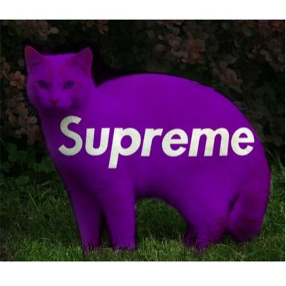 dupont_jacques7's profile picture. 