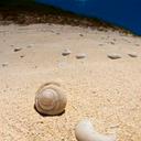 Danilo Zamora - @danilozz2014 - Twitter