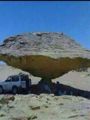 منهو يطب احدودنا يحرمهاالـخـاص مـهمـل.