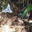 Karyn Nash - @karyn_nash - Twitter