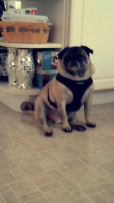 pg_malone's profile picture. 