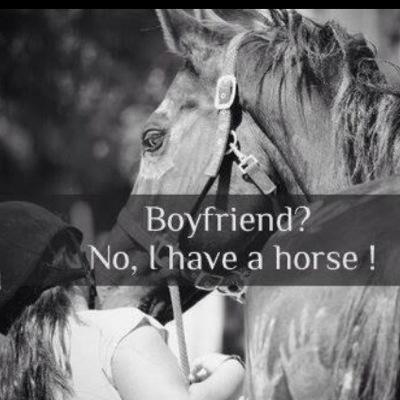 horses ❤️