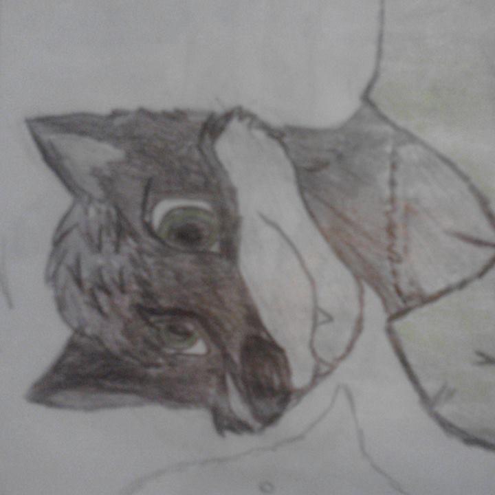 WolfyGamesxwolf's profile picture. Soy youtuber apenas empiezo hago gameplays y vlogz gracias a una inspiracion jejegamer por siempre