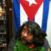ozgur korkmazgil (@ozgurkorkmazgil) Twitter profile photo