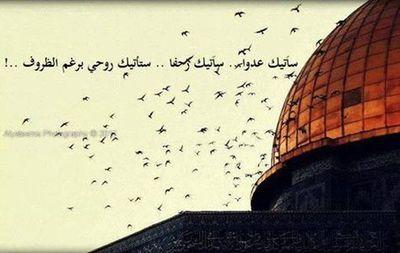 ‏‏‏‏‏‏‏‏‏‏‏‏‏‏# PALESTIN      على هذه الأرض ما يستحق الحياة &&   I.S  ♡‏..
 سنخوض معاركنا معهم وسنمضى جموعاً نردعهم
ونعيد الحقَ المغتصبَ
وبكل القوةِ ندفعهم✌