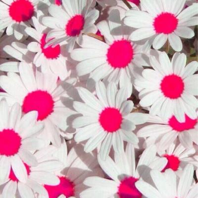 itsskarmabitch's profile picture. So mucking fuch.