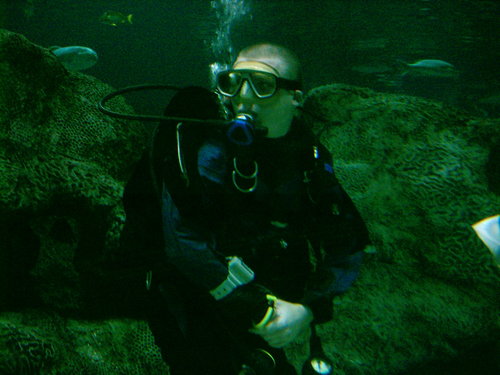 craigmossonline's profile picture. 