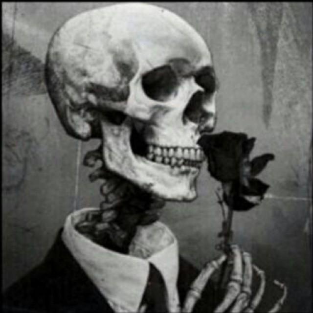 wizmikey1's profile picture. عين يحلم و قلب يتمنى '!