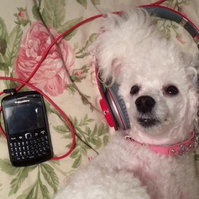 OfficialVzK's profile picture. 