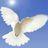 Peace (@maga4peace) Twitter profile photo
