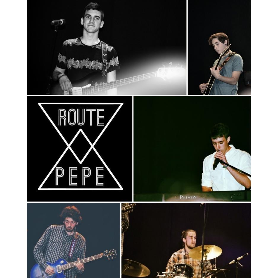 indie pop rock alternative punk post  revival garage funky flamenco
