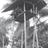 angklung_paglak's profile image
