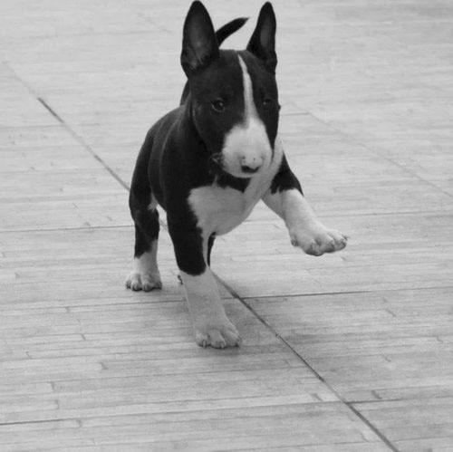 un_jien's profile picture. 