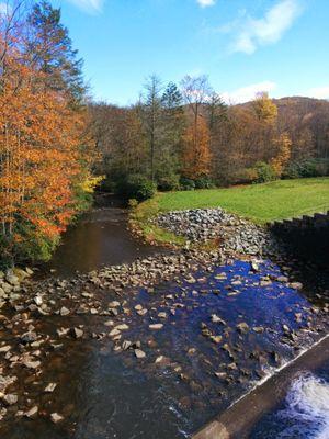 SwapnaSridharan's profile picture. 