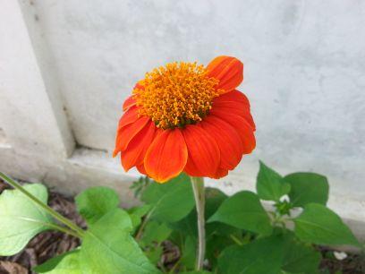 settawutjunnor's profile picture. 