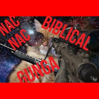 Biblical @Biblical_bot replies Biblical to all tweet on the, timeline dont take it seriously.