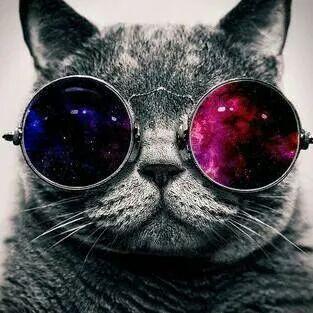 julpeyale's profile picture. 