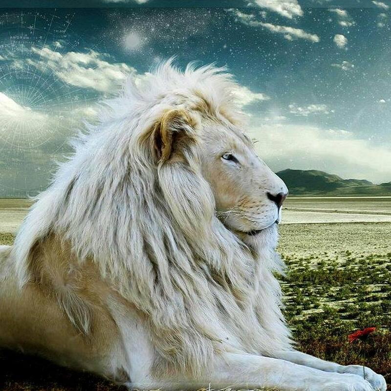 sohanrathod3's profile picture. 