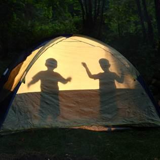 goodbyevery1's profile picture. 