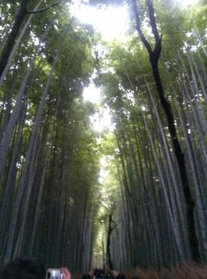 このアカウント乗っ取られてるので皆さんご自由にお使いください。パスワード38221389
