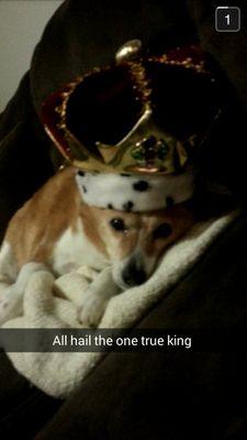 TrentWhoShock's profile picture. I can't complain but sometimes I still do