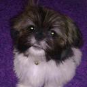 Traci Morton - @morton_traci - Twitter