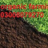 organicfarming7's profile picture. 