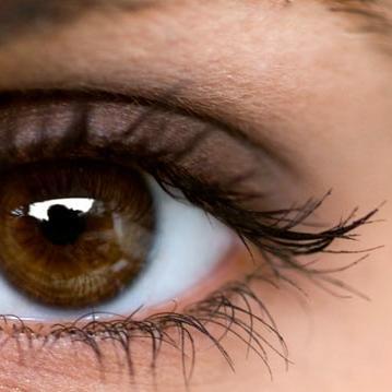 feedcode666's profile picture. 