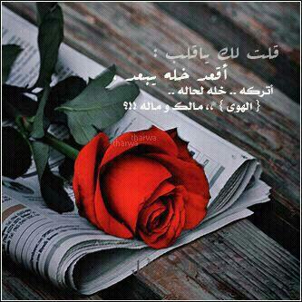 ‏‏‏حمود
