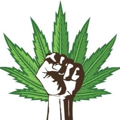 It's Time To End Marijuana Prohibition