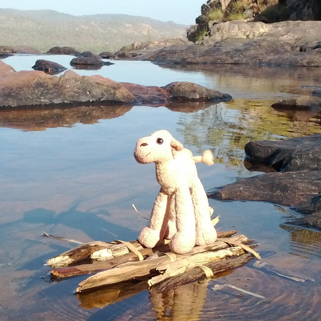 CamelOnPatrol's profile picture. A pink camel and a Nissan Patrol. Fun times...