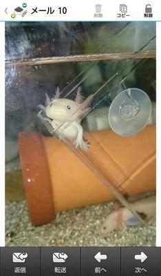 宜しくお願いします